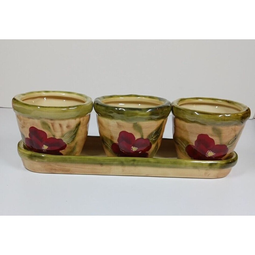 Giftcraft Oasis Poppy Ceramic Decorative Planters with Tray